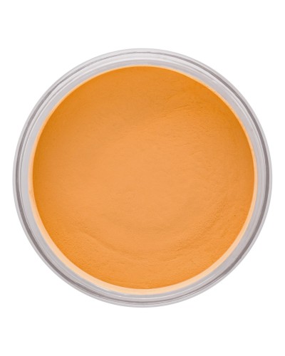 POLVOS EVOLUTION POWDER 3 - DANESSA MYRICKS