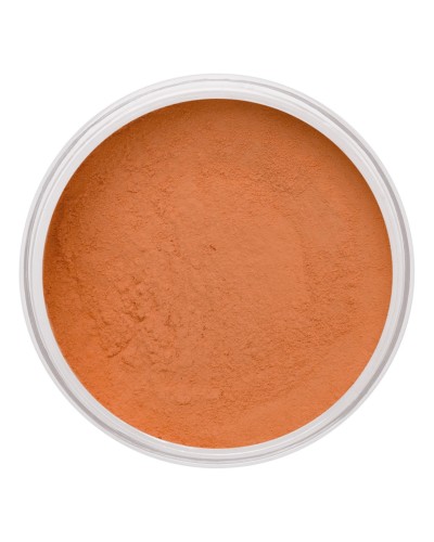 POLVOS EVOLUTION POWDER DEEP PEACH - DANESSA MYRICKS