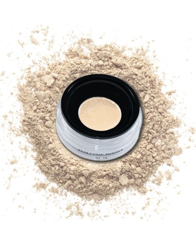 POLVOS EVOLUTION POWDER 2 - DANESSA MYRICKS