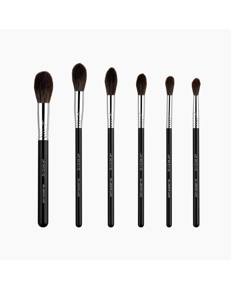 Soft Blend Brush Set - SIGMA