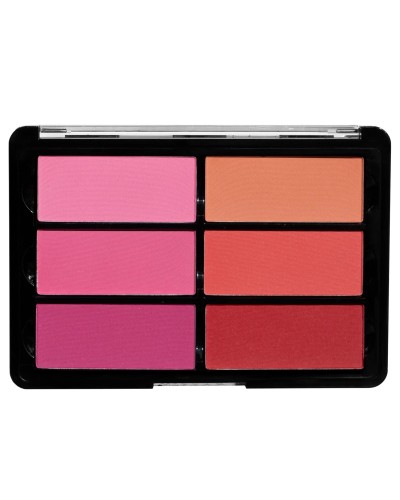 Palette 6 Blush Palette 02 Rose - Coral - VISEART