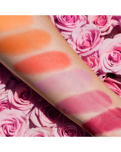 Palette 6 Blush Palette 02 Rose - Coral - VISEART