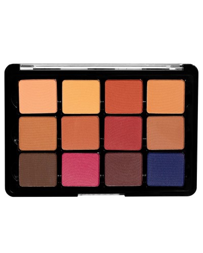 PRO Eyeshadow Palette 14 Neutral Mattes Milieu - VISEART