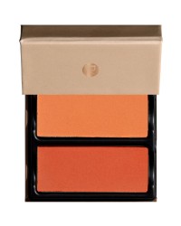 Palette 2 Blush DUO Palette Choiysa - VISEART