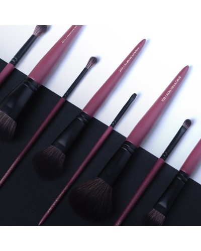 Set de brochas completo - IBbrushes x Alba de la Cruz