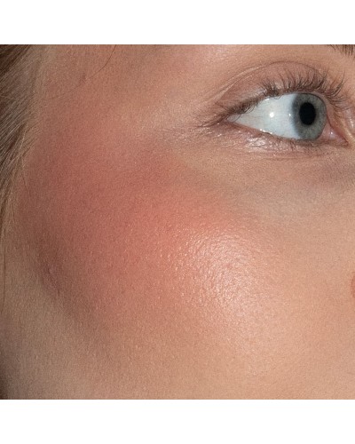 Artistick Blush Modern - LH Cosmetics
