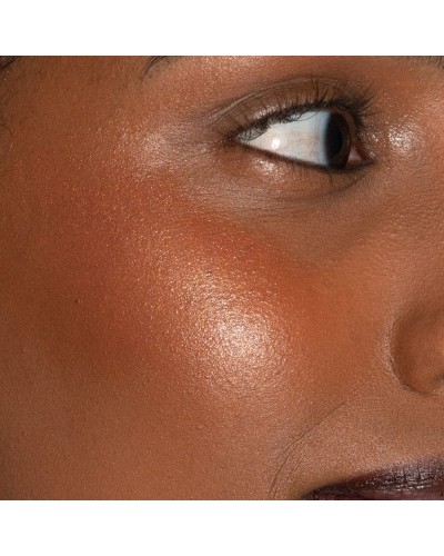 Artistick Blush Modern - LH Cosmetics