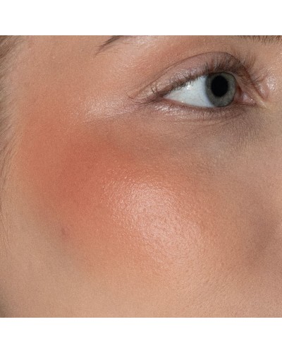 Artistick Blush Abstract - LH Cosmetics