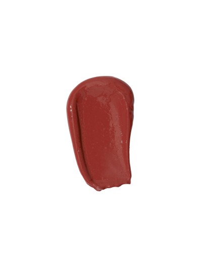 The Kiss Lips Liquid Lipstick - 04 Rusty Red - PAESE