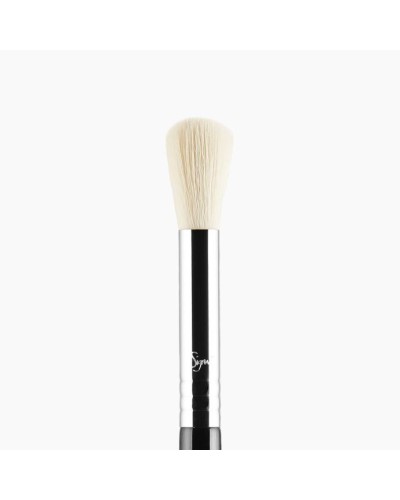 F06 POWDER SWEEP™ BRUSH