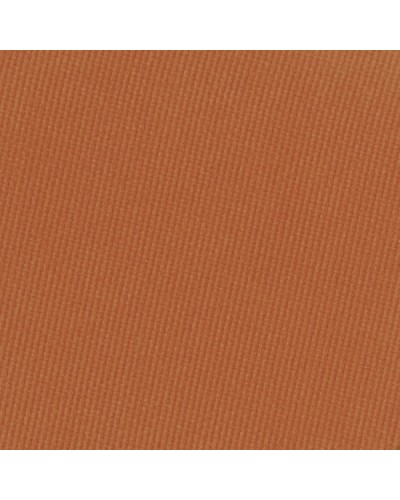 Pressed Pigment Feather Edition - Cinnamon