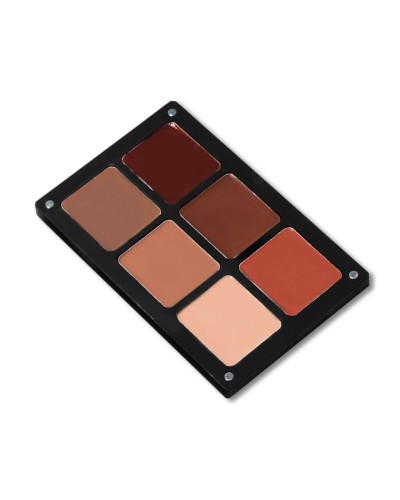 PALETA ESSENTIALS NUDE SHADES - DANESSA MYRICKS